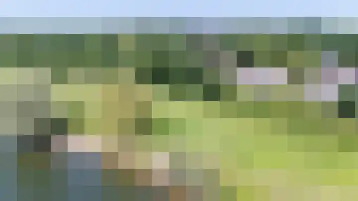 Moeckenkamp 14 De Steeg thumbnail 38
