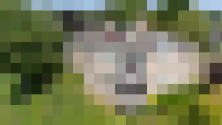 Moeckenkamp 14 De Steeg thumbnail 39