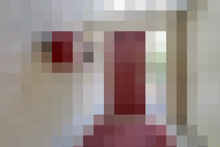 Moeckenkamp 14 De Steeg thumbnail 9