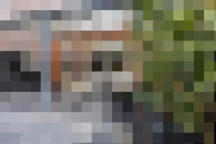 Moeder Teresalaan 5 Hellevoetsluis thumbnail 29