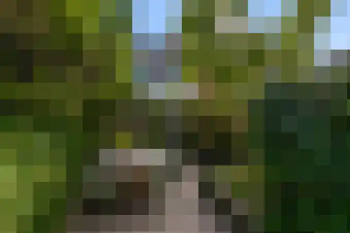 Moensplein 18 Beverwijk thumbnail 19