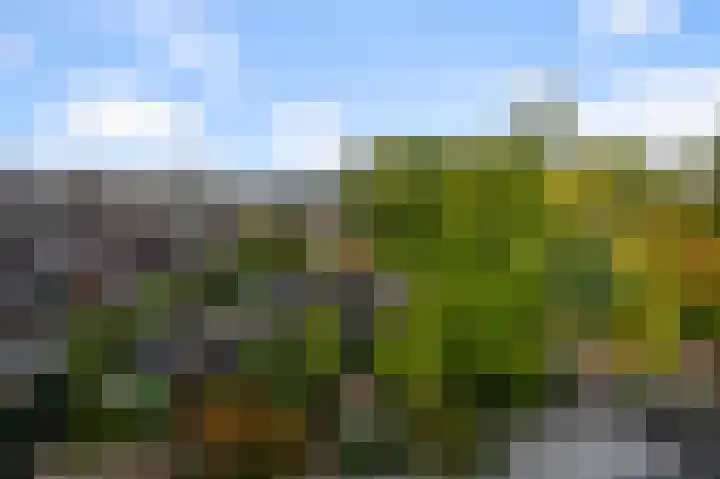 Moensplein 18 Beverwijk thumbnail 49