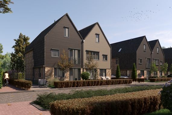 Moerasorchidee 10 in Lelystad foto