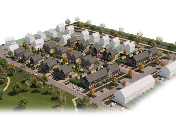 Moerasorchidee 12 in Lelystad foto