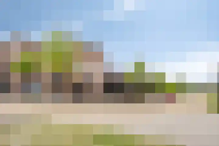 Moerasorchidee 13 Lelystad thumbnail 34