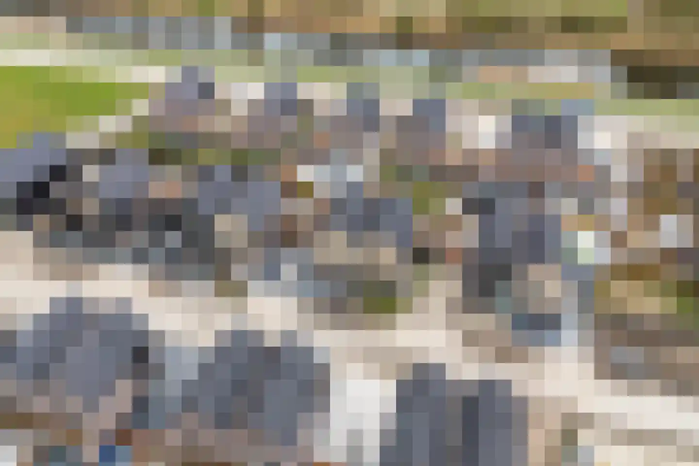 Moerasorchidee 13 Lelystad thumbnail 57