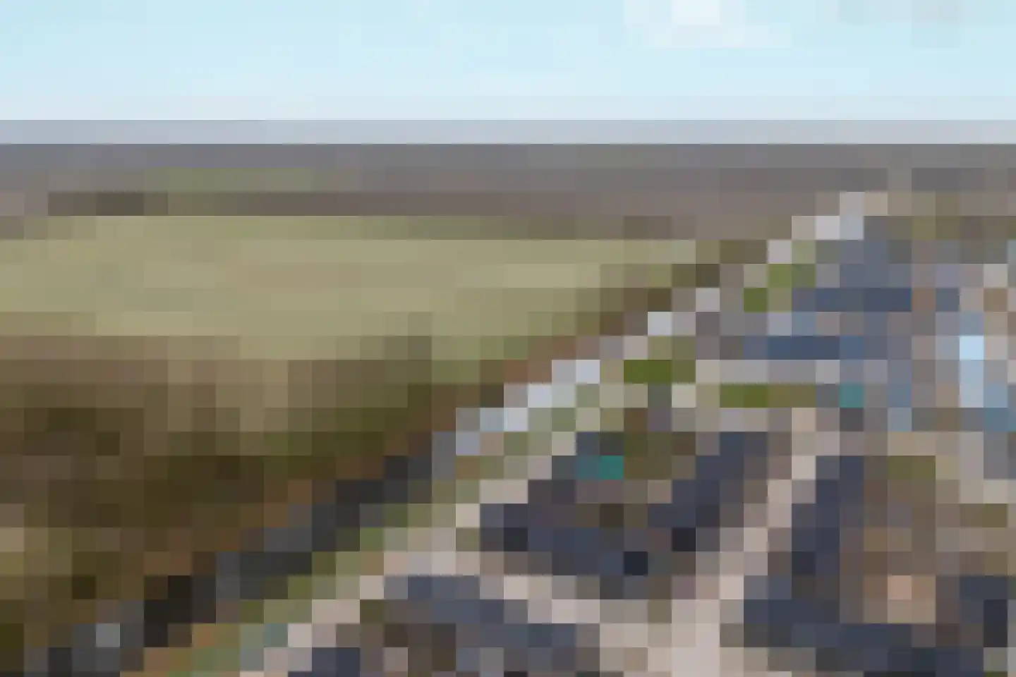 Moerasorchidee 13 Lelystad thumbnail 59