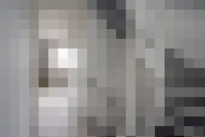 Moerbei 10 Nijkerk thumbnail 12