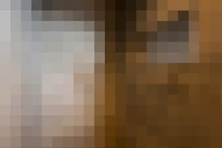 Moerbei 10 Nijkerk thumbnail 19