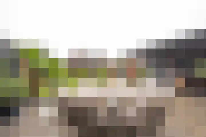 Moerbei 10 Nijkerk thumbnail 26