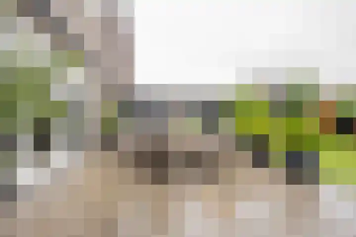 Moerbei 10 Nijkerk thumbnail 27