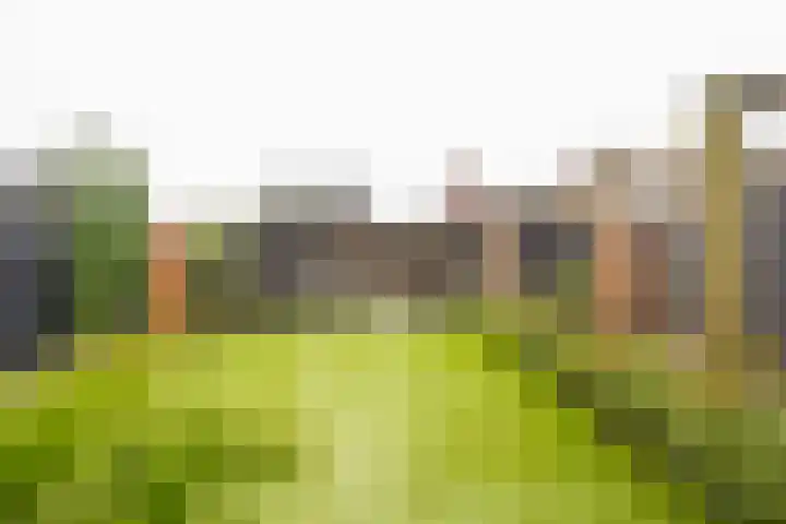 Moerbei 10 Nijkerk thumbnail 29
