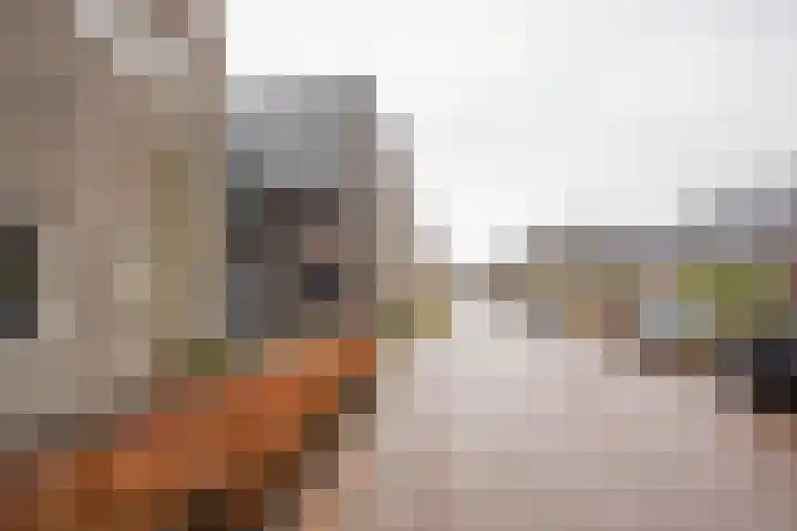 Moerbei 10 Nijkerk thumbnail 38