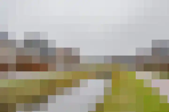 Moerbei 10 Nijkerk thumbnail 40