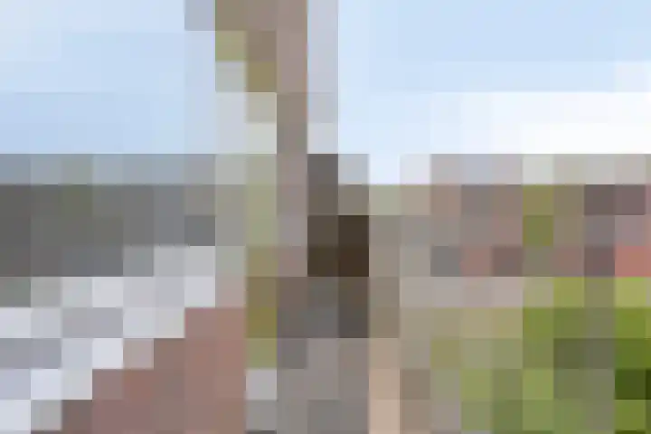 Moerbeigaarde 102 Zoetermeer thumbnail 14