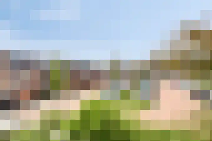 Moerbeigaarde 102 Zoetermeer thumbnail 15