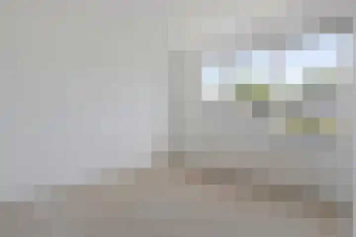 Moerbeigaarde 102 Zoetermeer thumbnail 16