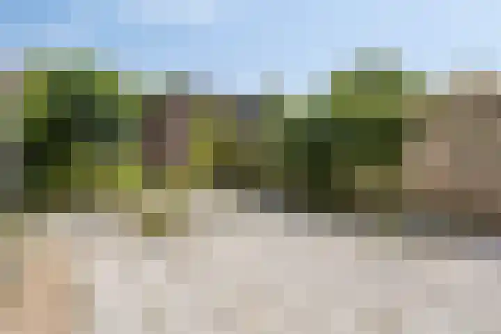 Moerbeigaarde 102 Zoetermeer thumbnail 27