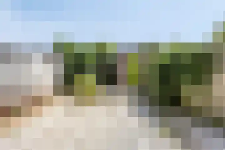 Moerbeigaarde 102 Zoetermeer thumbnail 28