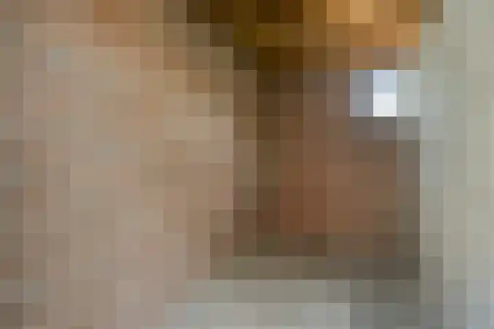 Moerbeigaarde 102 Zoetermeer thumbnail 29