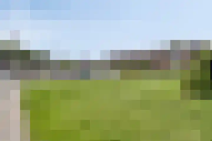Moerbeigaarde 102 Zoetermeer thumbnail 32