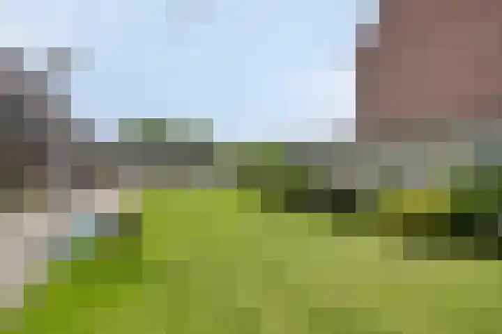 Moerbeigaarde 102 Zoetermeer thumbnail 33