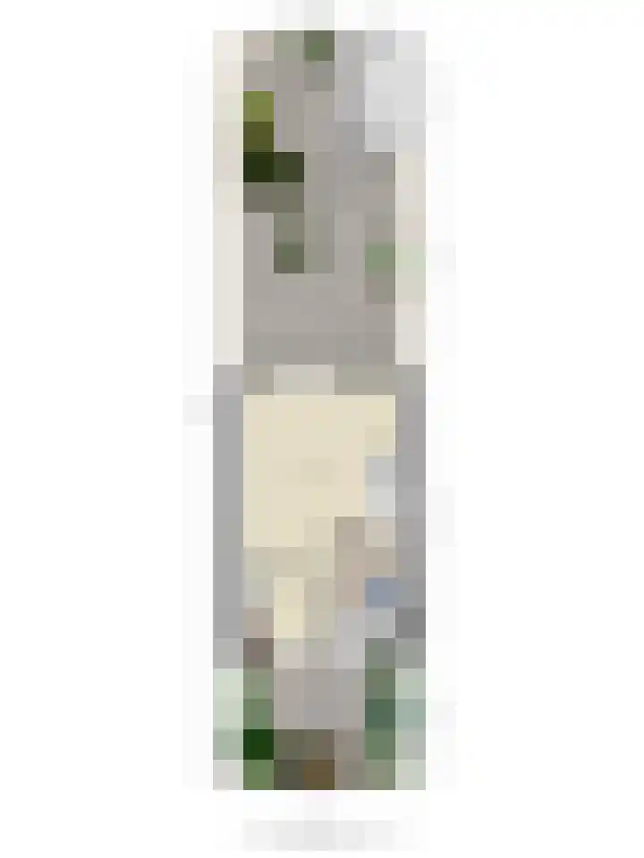Moerbeigaarde 102 Zoetermeer thumbnail 36