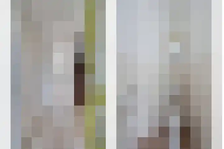 Moerbeigaarde 102 Zoetermeer thumbnail 5
