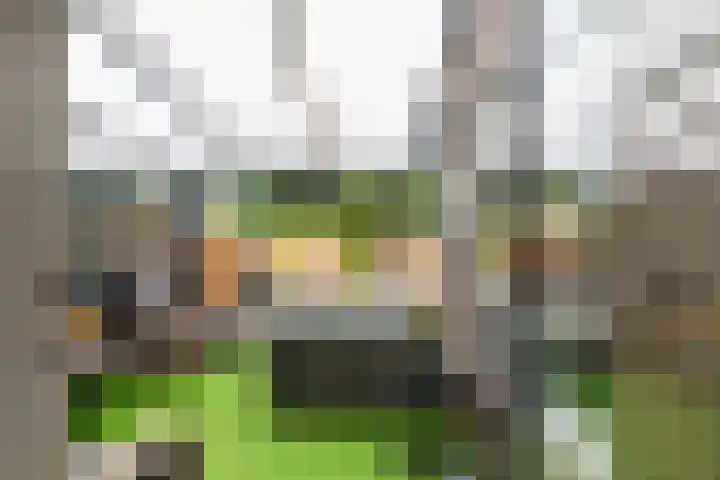 Moerbeigaarde 8 Zoetermeer thumbnail 24