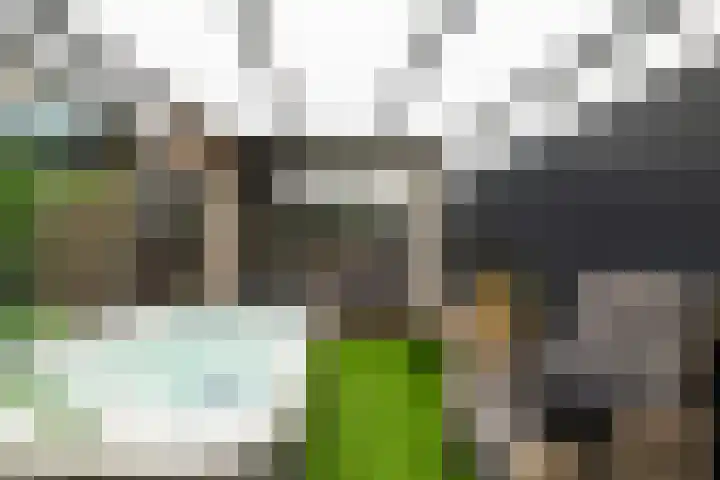 Moerbeigaarde 8 Zoetermeer thumbnail 26