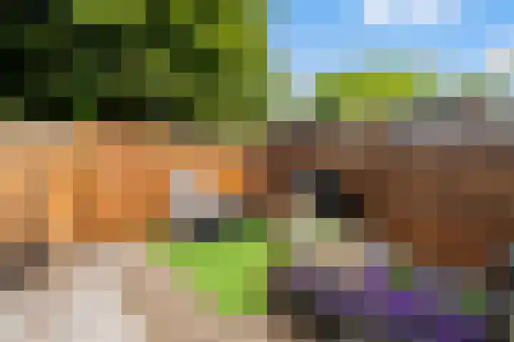 Moerbeigaarde 8 Zoetermeer thumbnail 30