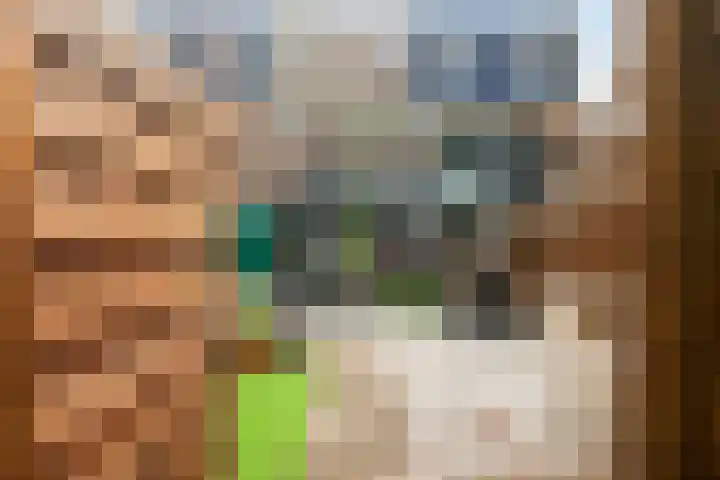 Moerbeigaarde 8 Zoetermeer thumbnail 32