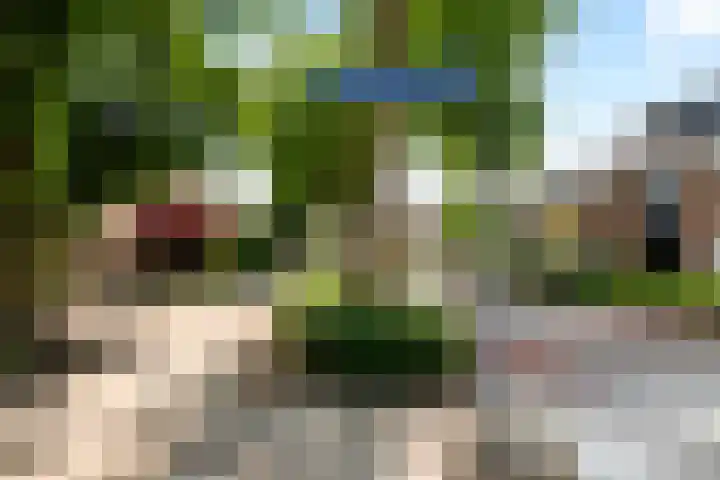 Moerbeigaarde 8 Zoetermeer thumbnail 35