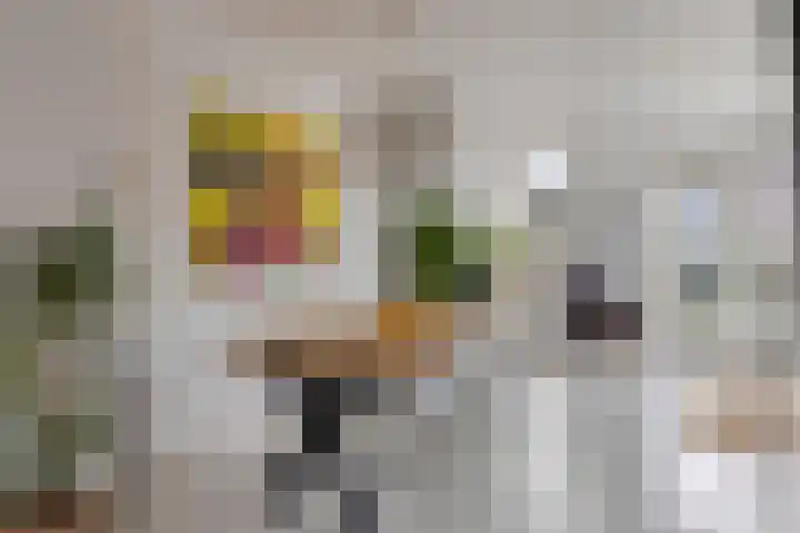 Moerbeigaarde 9 Zoetermeer thumbnail 10