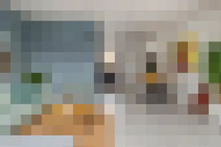 Moerbeigaarde 9 Zoetermeer thumbnail 11