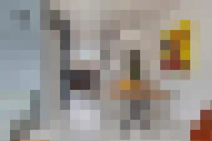 Moerbeigaarde 9 Zoetermeer thumbnail 15