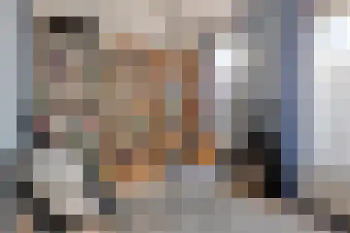 Moerbeigaarde 9 Zoetermeer thumbnail 25