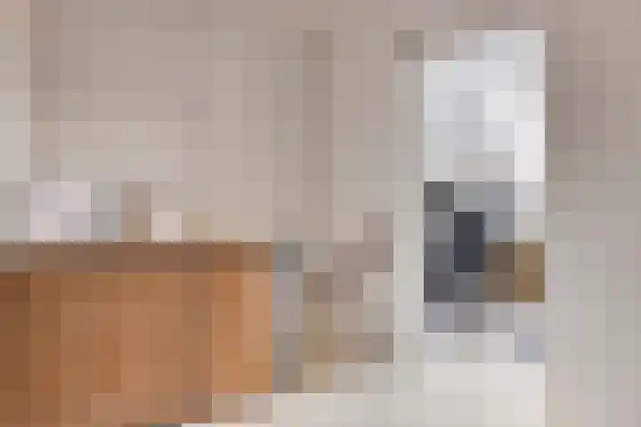 Moerbeigaarde 9 Zoetermeer thumbnail 28