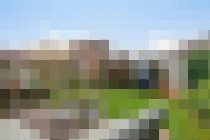 Moerbeigaarde 9 Zoetermeer foto 3