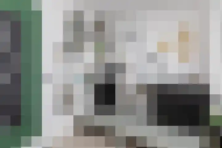 Moerbeigaarde 9 Zoetermeer thumbnail 30