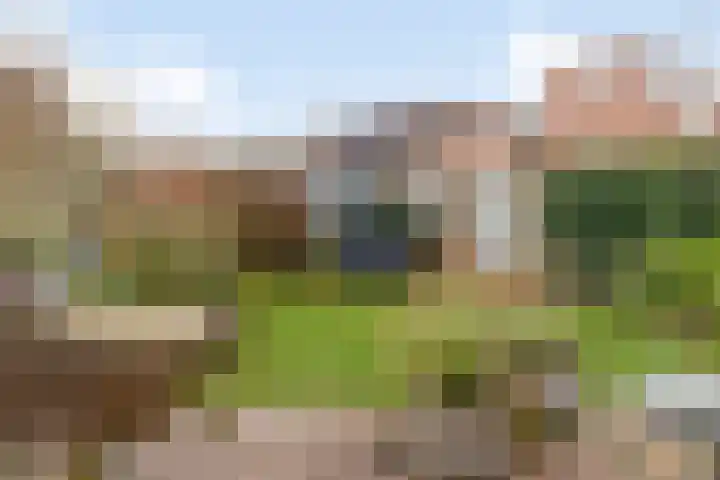 Moerbeigaarde 9 Zoetermeer thumbnail 36