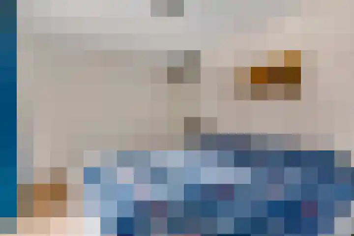 Moerbeigaarde 9 Zoetermeer thumbnail 6