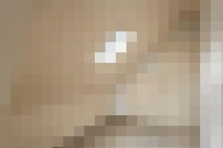 Moerdijkseweg 2 Terheijden thumbnail 33