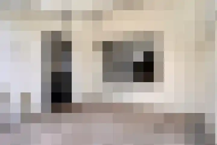 Moerdijkseweg 2 Terheijden thumbnail 37