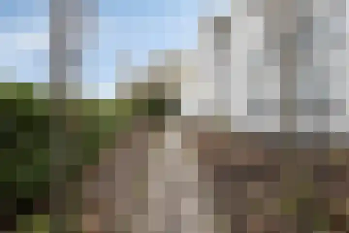 Moerdijkseweg 2 Terheijden thumbnail 41