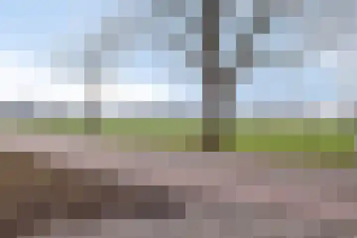 Moerdijkseweg 2 Terheijden thumbnail 42