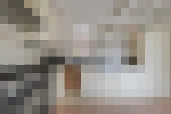 Moerkamp 25 Beugen thumbnail 19