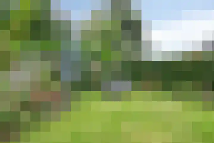 Moerkamp 25 Beugen thumbnail 38