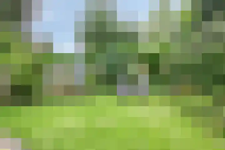 Moerkamp 25 Beugen thumbnail 39