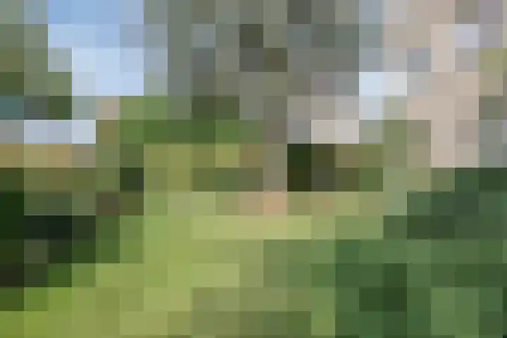 Moerkamp 42 Beugen thumbnail 10